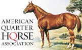 American Quarter Horse Association
